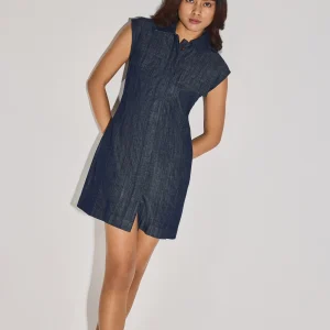 Denim A-Line Button Down Mini Dress
